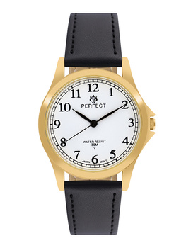 PERFECT GP005-11