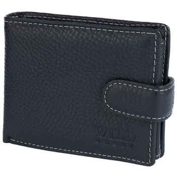 WILD 02A - BLUE / WHITE