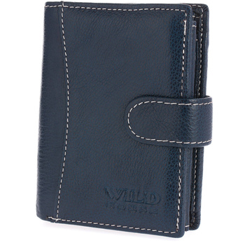 WILD 01A - BLUE / WHITE