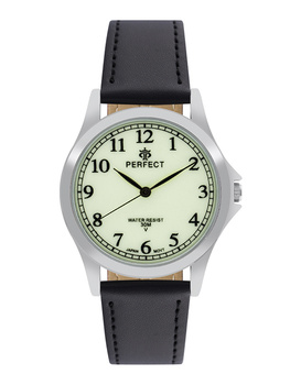 PERFECT GP005-04