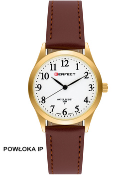 PERFECT GXIP004-12