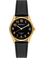 PERFECT GXIP018-13